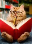 User Experience Book Club