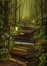 A Reading Path