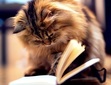 Christine's Challenges & Reading Log