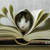 Club de Lectura V región (vegan friendly)