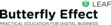 Butterfly Effect 
