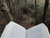 Much Ado About Books