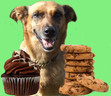 Books and Biscuits