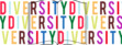Diversity & Equality Lit. 