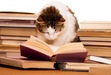 Dery’s Am Lit Class