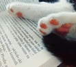 Written Kittens