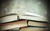Calling All YA Readers