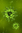1079251