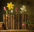 The League of Gentle Readers