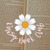 Daisy Book Club