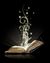 Witchy Reads Bookclub