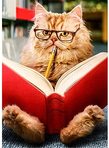 Books@Beam