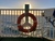 Mercy Ships Community Book Club