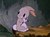 The rabbit book club