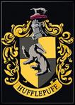 Hufflepuff Dorm!