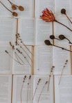 New Releases Archive