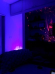 Midnight high...