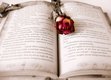 Entre Poesia e Prosa