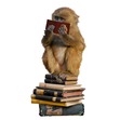 Between a Rock and a Hard Cover