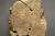 1155612