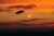 Ufo's, Aliens & Beyond