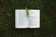 ACS 8th Grade Reading 2022-2023