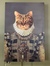Cats, Naps, and Hardbacks