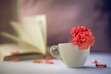 Austenesque Lovers TBR Challenge 2022