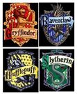 ravenclaws and everyone else 