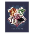 :Hogwarts School of Witchcraft and Wizardry: