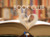 CoolBookClubNamePending