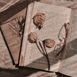 &#x1f33b; the bookworms' bookclub &#x1f33b;