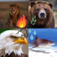 Academy of Shapeshifters