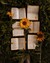 Bookspalace
