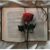 Bookluvers