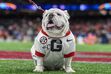 Dawgs who read!