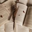 !Book Interests! 