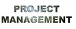 Project Management Professionals (PMPs)