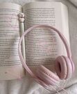 Diary of Book Lovers