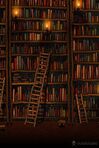 Books'n'Stuff