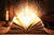 Book Lovers Society