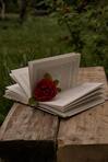 book worms ~