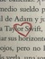 taylor swift girlies read