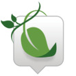 On the Vine