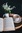 Corbin Books and Brewed Coffee 