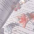 Books with Bella