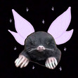 fairyboot