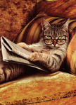 Modern Animals Read