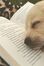 Livros & amigos 