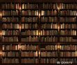 Readers from Spain